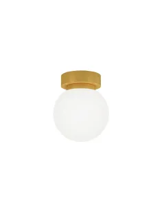 Plafon Sena 1002516 Sulion
