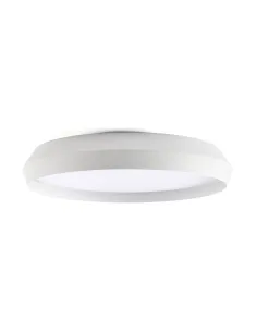 Shoku 64281 Faro