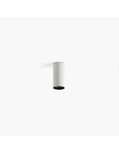 Fost Down Ceiling 051093031 Faro