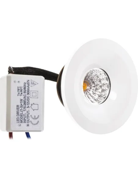 Downlight A12580101A Lumit