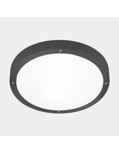 Plafón Basic 15-E050-Z5-Eh Leds C4