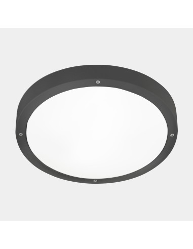 Plafón Basic 15-E041-Z5-M1 Leds C4