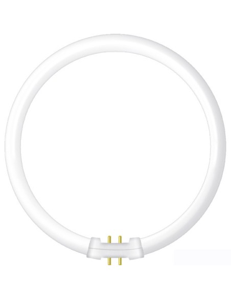 Tubo T5 Circular High-Output Interlusa LAMP. T5C55W 4000K