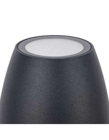 Aplique Eclipta I PX-0691-NEG Forlight