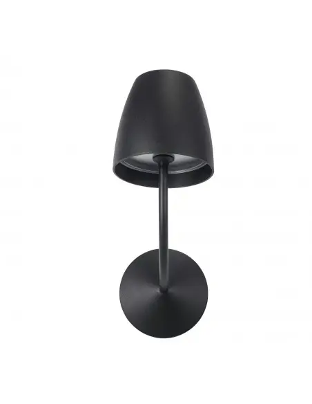 Aplique Eclipta I PX-0691-NEG Forlight