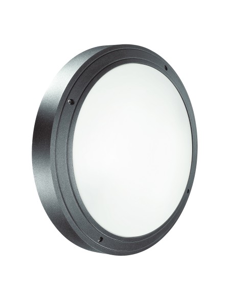 Aplique-plafón Daira 575A-G05X1A-04 Cristher