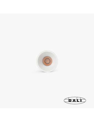 Downlight Tulipa Sim 0334192721D Faro