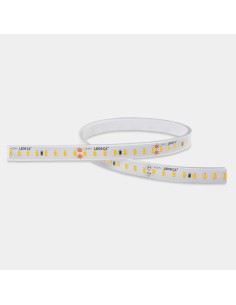 Tira LED On Basic 19,2 91-A016-00-00 Leds C4