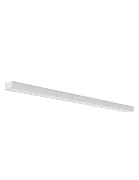 Lineal Linex Office 2099244 Techtouch