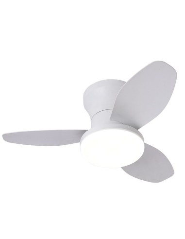 Ventilador Tauro B-2543 Belair