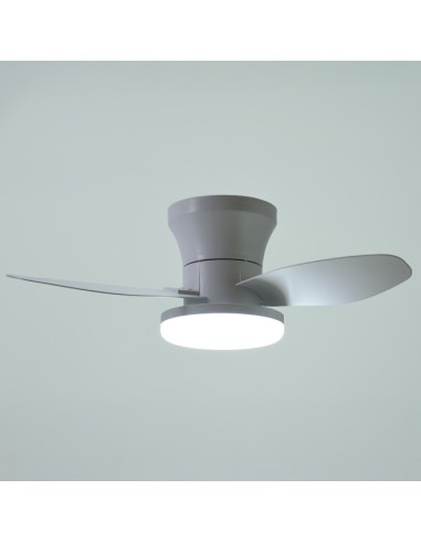 Ventilador Tauro B-2543 Belair