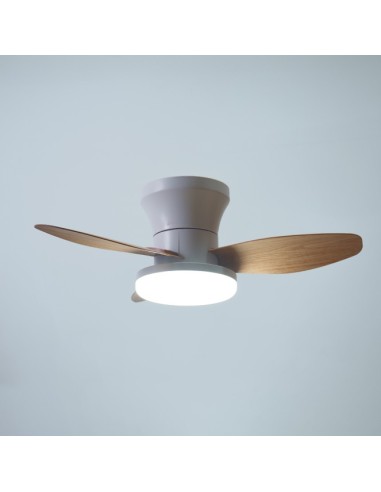 Ventilador Tauro B-2544 Belair