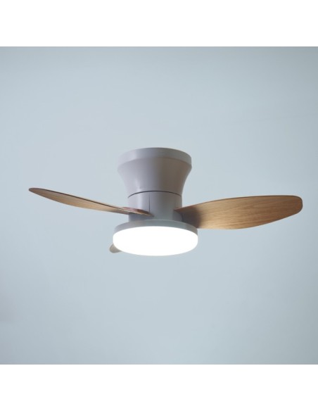 Ventilador Tauro B-2544 Belair