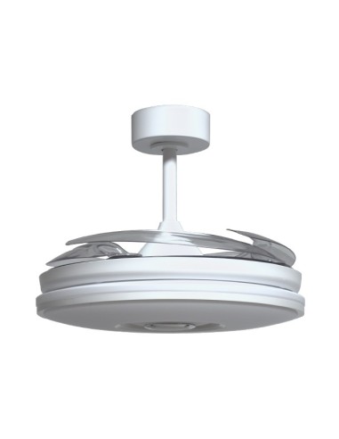 Ventilador Colors F-1038 Belair