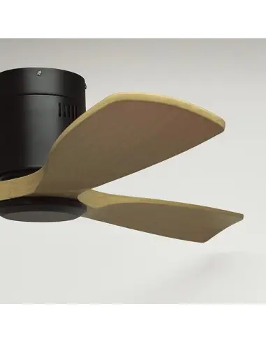 Ventilador Céfiro Off V1020 BK/WO Belair