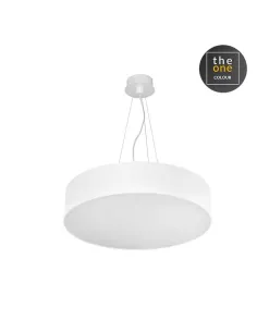 Lámpara de techo LUNO 00-5926-60-RU LEDS C4