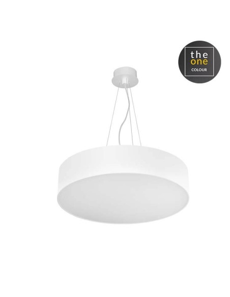 Lámpara de techo LUNO 00-5927-60-OU LEDS C4