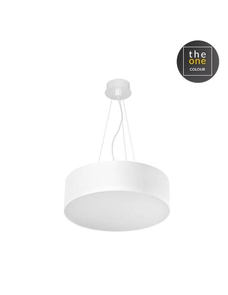 Lámpara de techo LUNO 00-5924-60-OU LEDS C4