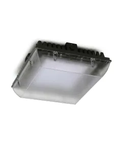 Comprar PREMIUM 15 9839 05 CL LEDS C4 Luminaria parking