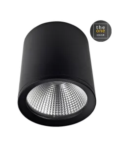 Foco en superficie EXIT 90-3210-60-OU LEDS C4
