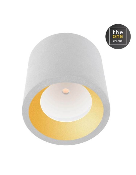 Foco superficie exterior COSMOS 15-9790-14-CL LEDS C4