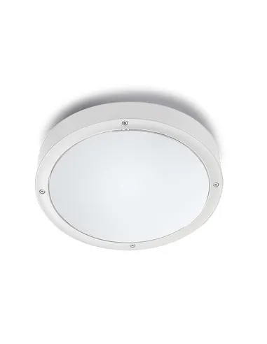 Plafón exterior BASIC ALUMINIUM 15-9835-14-CL LEDS C4