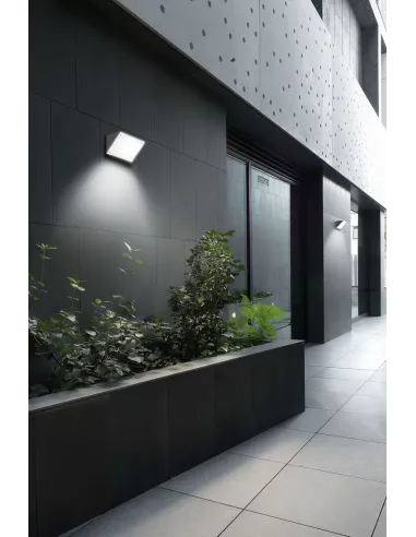 Aplique exterior CURIE 05-9884-14-CL LEDS C4