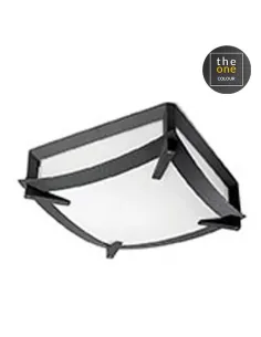 Plafón exterior MARK 15-9298-14-M1 LEDS C4