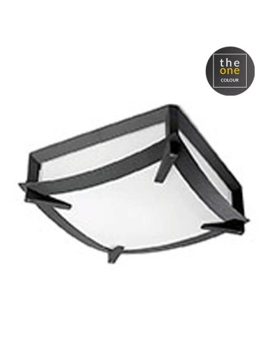 Plafón exterior MARK 15-9298-14-M1 LEDS C4