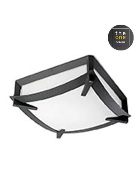 Plafón exterior MARK 15-9298-14-M1 LEDS C4