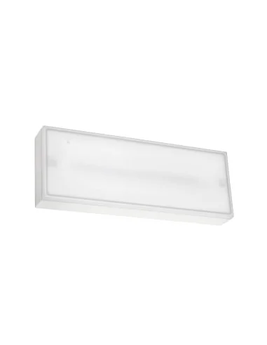 Luz Emergencia EM02-0300PA1400 Leds-c4 Deco IP65