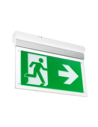 Luz Emergencia EM03-0103PA1400 Leds-c4 Flag
