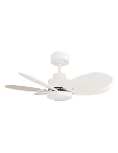 Ventilador Rainbow 1694482 Sulion